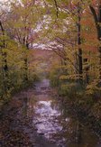 ne-foliage_windsor-jambs-08