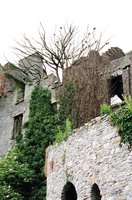 ireland-leap_castle_ruins_outside_lwing3