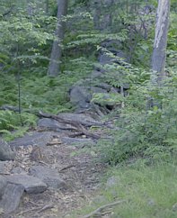 pack-monadnock_old-rock-wall