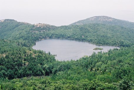 acadia_beehive-bowl
